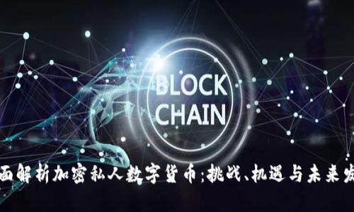 全面解析加密私人数字货币：挑战、机遇与未来发展