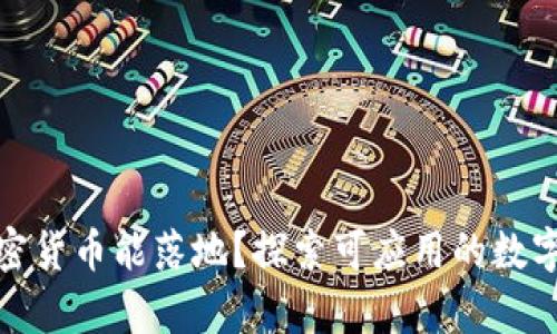 : 哪些加密货币能落地？探索可应用的数字货币前景