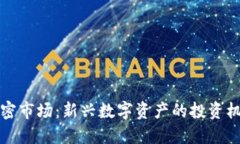 小货币加密市场：新兴数