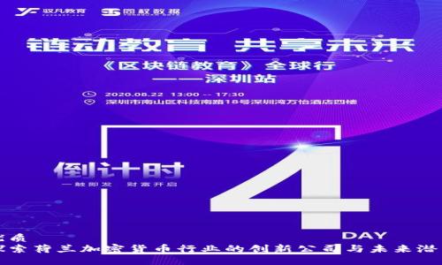 优质  
探索荷兰加密货币行业的创新公司与未来潜力