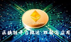 区块链平台概述：理解与