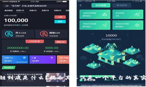 区块链到底是什么？揭示其不仅是一个平台的真实面貌