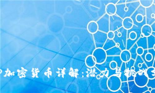 PSP加密货币详解：潜力与挑战分析