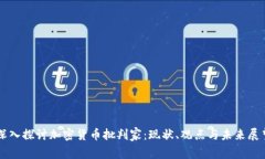 深入探讨加密货币批判家