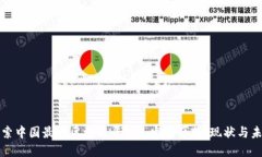 深入探索中国最大区块链