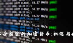 : 不受监管的加密货币：机