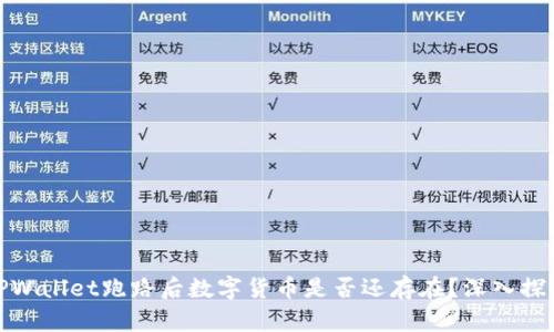 TPWallet跑路后数字货币是否还存在？深入探讨