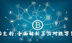 加密货币算力支持：全面