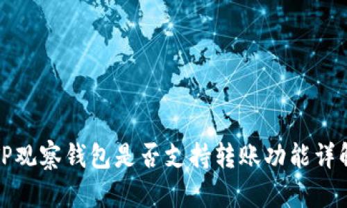 TP观察钱包是否支持转账功能详解