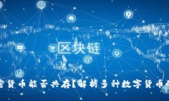 : 加密货币能否共存？解析