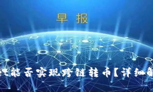 ibaotiTPWallet能否实现跨链转币？详细解析与使用指南