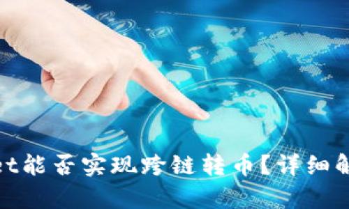 ibaotiTPWallet能否实现跨链转币？详细解析与使用指南