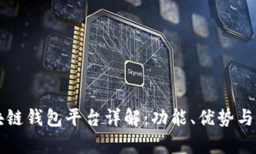 北美区块链钱包平台详解：功能、优势与市场解析