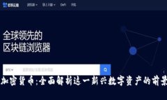 西格尔加密货币：全面解