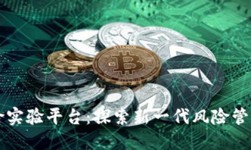 区块链再保险实验平台：探索新一代风险管理与交易模式