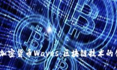 揭秘俄罗斯加密货币Wave