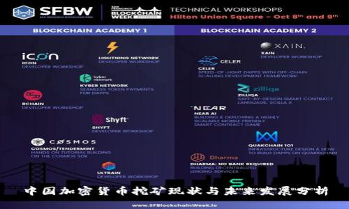 中国加密货币挖矿现状与未来发展分析