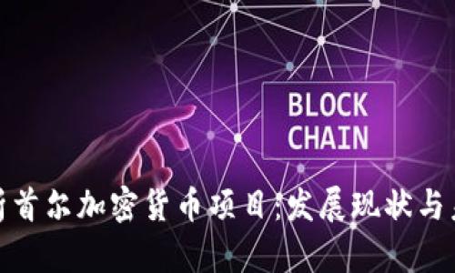 全面解析首尔加密货币项目：发展现状与未来趋势