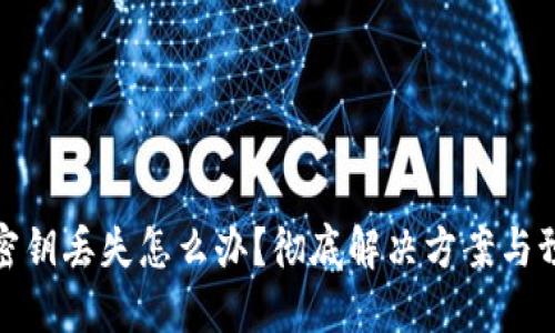 TP钱包密钥丢失怎么办？彻底解决方案与预防措施