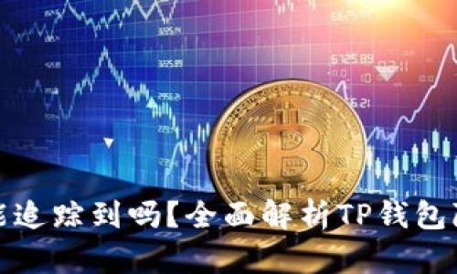 TP钱包地址能追踪到吗？全面解析TP钱包隐私与安全性