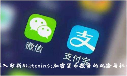 深入分析Shitcoins：加密货币投资的风险与机会