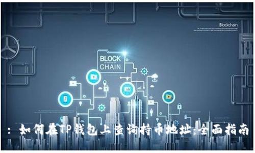 : 如何在TP钱包上查询持币地址：全面指南