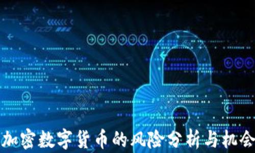 
英国加密数字货币的风险分析与机会探讨