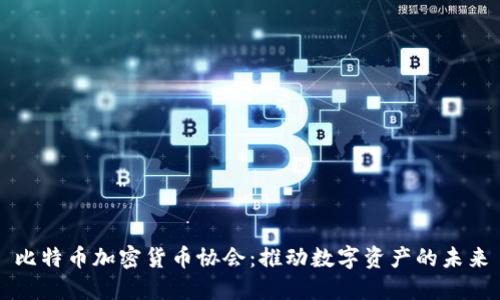 比特币加密货币协会：推动数字资产的未来