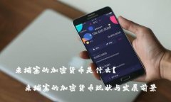 柬埔寨的加密货币是什么？  柬埔寨的加密货币现