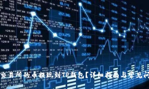 如何将交易所的币提现到TP钱包？详细指南与常见问题解答