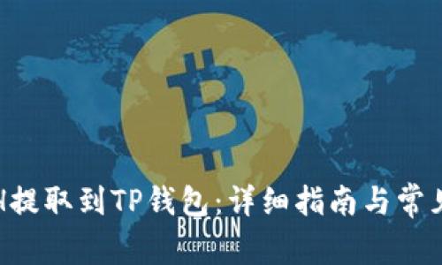 如何将ETH提取到TP钱包：详细指南与常见问题解答