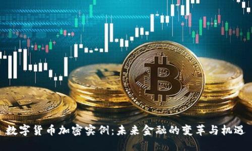 数字货币加密实例：未来金融的变革与机遇