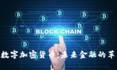 HYB数字加密货币：未来金