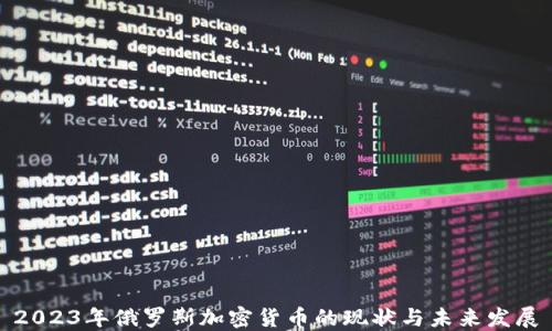 
2023年俄罗斯加密货币的现状与未来发展