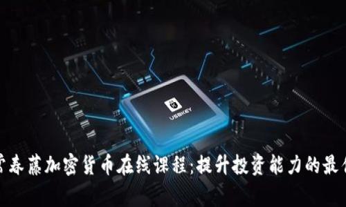 揭秘常春藤加密货币在线课程：提升投资能力的最佳选择