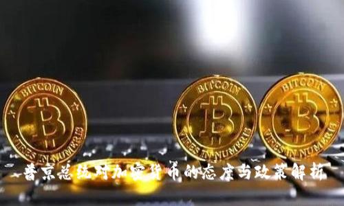 普京总统对加密货币的态度与政策解析