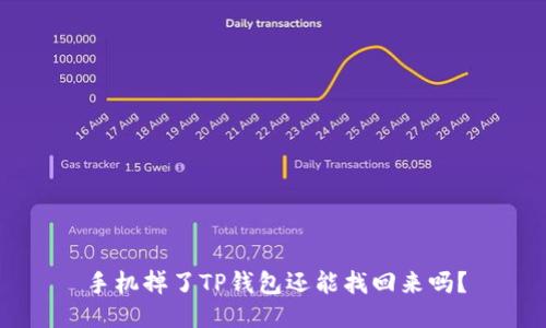 手机掉了TP钱包还能找回来吗？