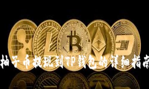 柚子币提现到TP钱包的详细指南