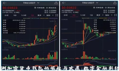 
非洲加密货币钱包的崛起与发展：数字金融新纪元