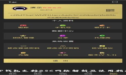 TP钱包支持BSC网络解析及使用指南