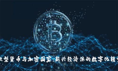 微型货币与加密国家：新兴经济体的数字化转型