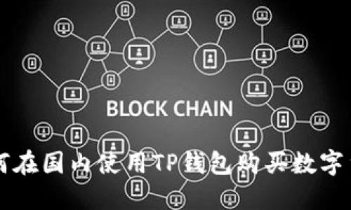 如何在国内使用TP钱包购买数字货币
