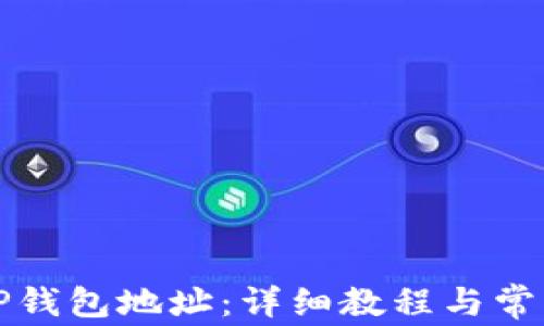 
如何找回TP钱包地址：详细教程与常见问题解答