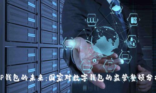 TP钱包的未来：国家对数字钱包的监管整顿分析