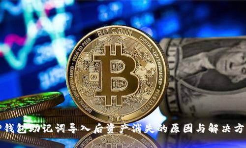 TP钱包助记词导入后资产消失的原因与解决方案