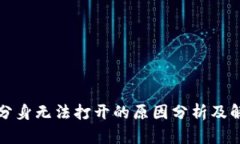 TP钱包分身无法打开的原因