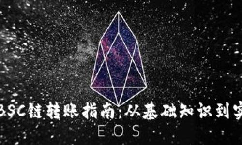 TP钱包BSC链转账指南：从基础知识到实用技巧