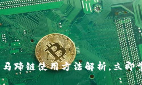 2025必看：TP钱包马蹄链使用方法解析，立即掌握数字钱包技巧！