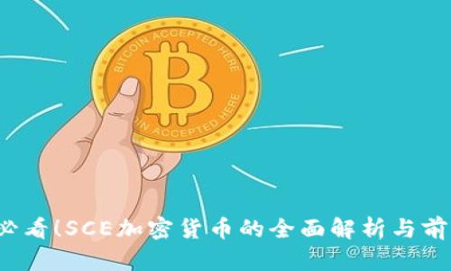 2025必看！SCE加密货币的全面解析与前景展望