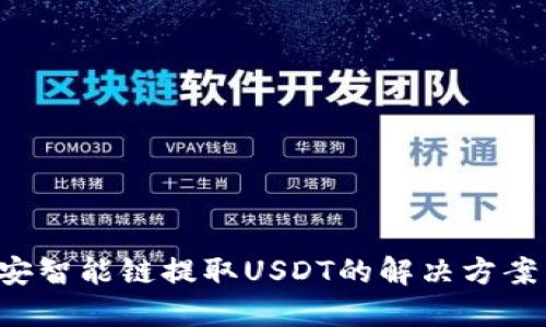 2025必看：TP钱包在币安智能链提取USDT的解决方案，快速解决“打包中”问题